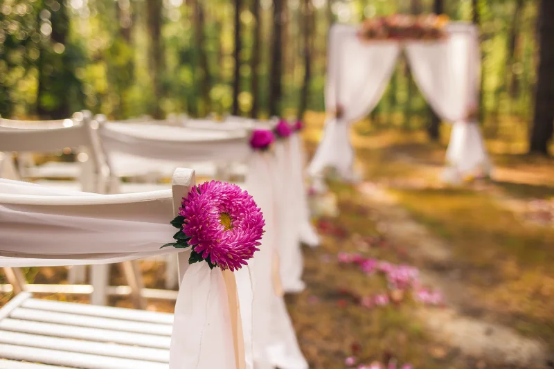 Wedding & Social Events Blog Image